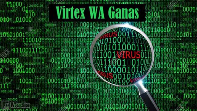 Cara Install Virtex WA Ganas