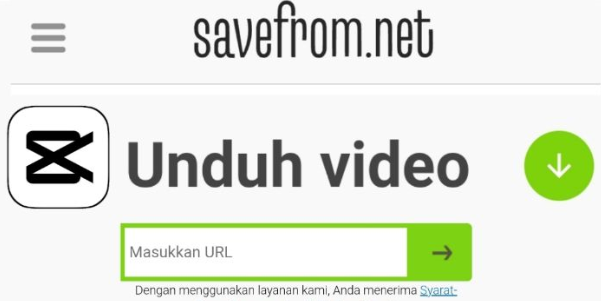SaveFrom Apk Download Video Viral TikTok & IG Tanpa Watermark